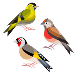 Stylized Birds - Eurasian Siskin, Common Linnet, European Goldfinch