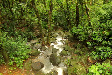 A view of the beautiful La Coca falls in Puerto Rico