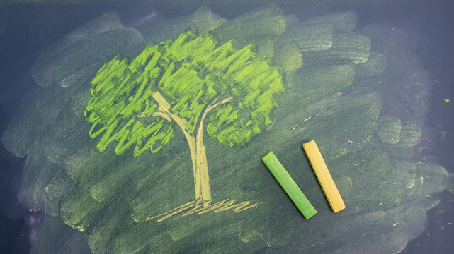 draw a tree picture by chalk pastels on a school blackboard.