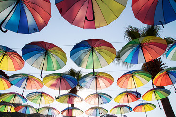 Colorful umbrellas background.Multi-colored umbrellas in the sky floating above the street against palms trees.