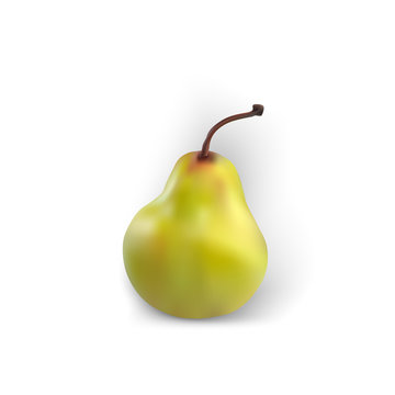 Pear isolated realistic white background green fruit yellow good fresh organic vector