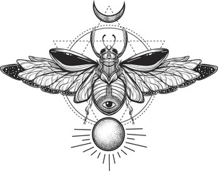 Beetle bug tattoo drawing. Scarab bug illustration on sacred geometry