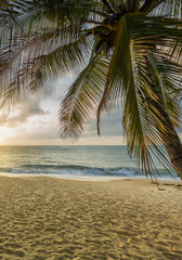 Fototapeta premium Sunset Beach with palm trees and beautiful sky.