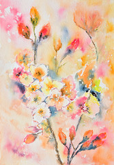 Obraz na płótnie Canvas watercolor painting, flowers