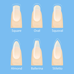 Nail manicure, set of nails shapes - oval, square, almond, stiletto, ballerina squoval Vector © DruZhi Art