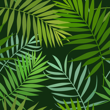 Seamless pattern of green palm leaves, floral seamless background. Vector