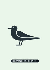 Seagull icon, Vector