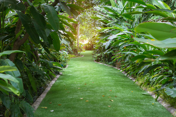 landscape of pathway in the beautiful garden