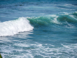 Fototapeta premium Blue wave in tropical ocean.