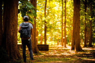 man traveling walking with backpack at national park in the jungle day time sun shine on holiday at weekend relax fresh on background nature view