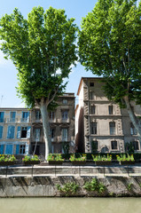 Buildings and trees in Narbonne, France
