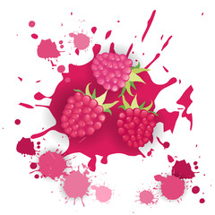 Raspberry Fruit Logo Watercolor Splash Design Fresh Natural Food Vector Illustration