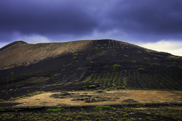 Obraz na płótnie Canvas The Wine Valley of La Geria / Lanzarote / Canary Islands