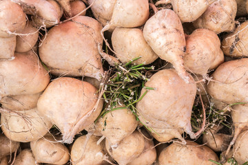 Group of Mexican yam or Jicama.