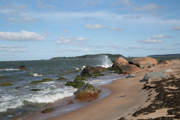 Fototapeta na wymiar Wild nature beach in the Lahemaa National Park, Käsmu, on the horizon the island Kuradisaar, stormy, summer