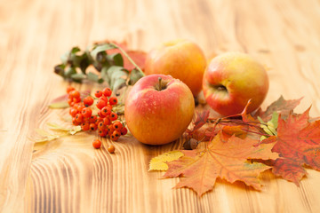 Naklejka na ściany i meble Apples, autumn leaves, Rowan berries on a wooden table