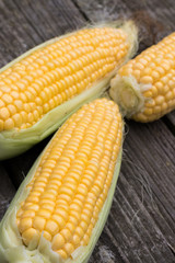 Yellow Sweet Corn cob on a patina wood surface