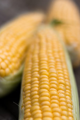 Yellow Sweet Corn cob on a patina wood surface