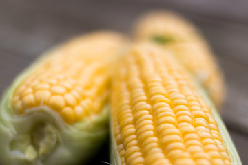 Yellow Sweet Corn cob on a patina wood surface
