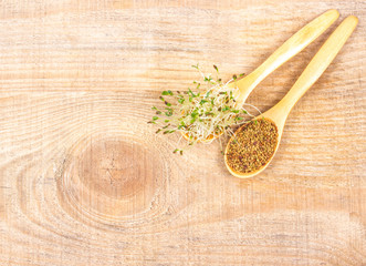 Fresh alfalfa sprouts and seeds - closeup.