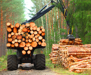 Lumberjack with modern harvester working in a forest. Wood as a source renewable energy. 