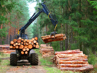 Lumberjack with modern harvester working in a forest. Wood as a source renewable energy. 