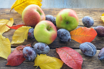three ripe apples lie on a wooden table among the fallen autumn yellow and red leaves