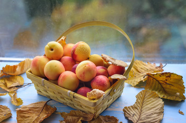 basket with fresh fruit stands on a window sill in bright sunlight