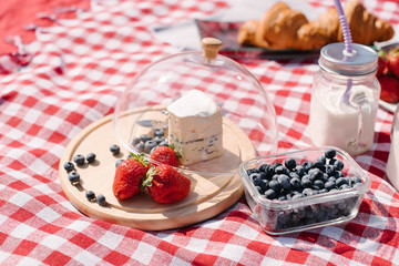Picnic in the nature with croissants, peaches, strawberries, blueberries, grapes, baguette, cheese and glass bottles of milk