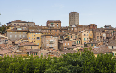 Fototapeta na wymiar The medieval city of Siena in southern Tuscany, Italy