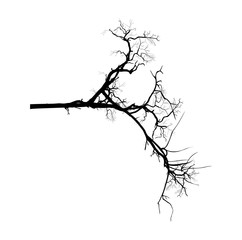 Obraz premium Dead Tree Branch Vector Shape