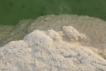 Salt nodules (mushrooms) on the shores of the Dead sea - Israel