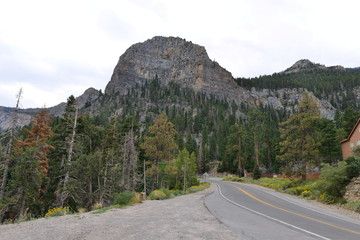 A mountain road at Mount Charleston.