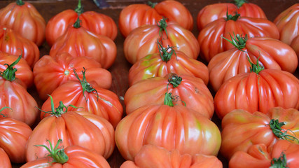Heirloom tomatoes