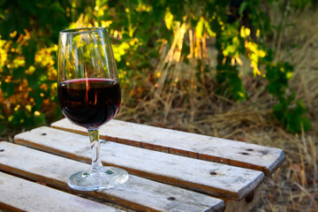 il vino in vigna