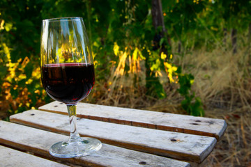 il vino in vigna