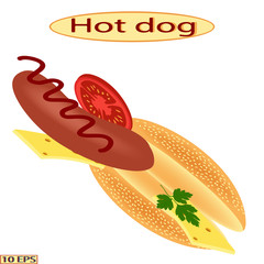 Hot dog. Tasty hot dog with sausage, cheese, tomato, lettuce, parsley. Vector illustration.