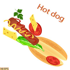 Hot dog. Tasty hot dog with sausage, cheese, tomato, lettuce, parsley. Vector illustration.