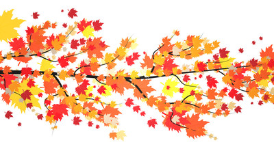 branch with autumn leaves