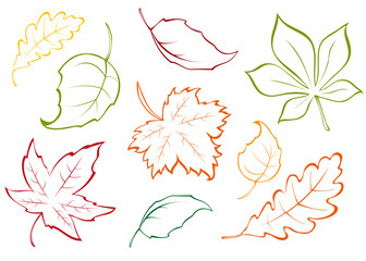different autumn leaves icons - obrazy, fototapety, plakaty