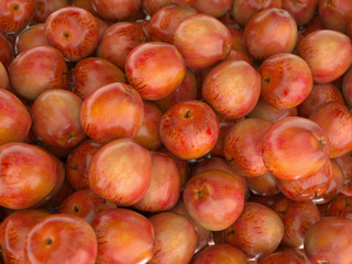 Close-up of many Red ripe apples