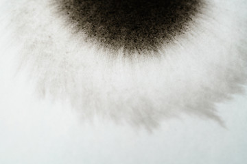 closeup black ink corner spreading on wet paper angle view