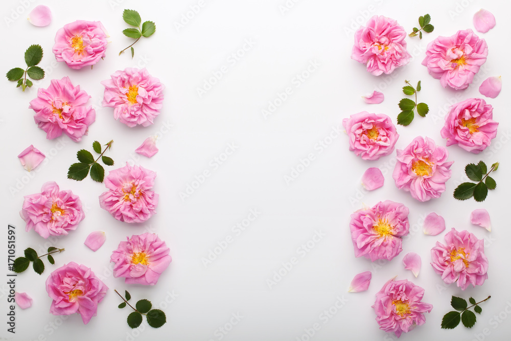 Wall mural border of pink damask roses and green leaves on white background. flat lay, top view.