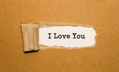 The text I Love You appearing behind torn brown paper