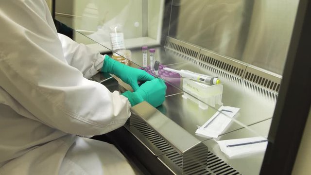Microbiologist is conducting research and doing tests with biological samples. Scientist Scientist Uses Micropipette Filling Test Tubes in Laboratory.