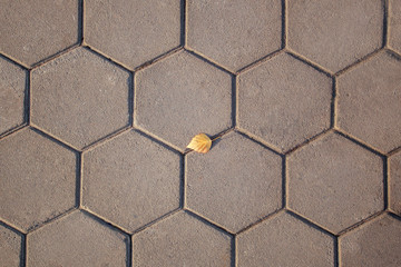Hexagonal paving stones, in the middle of the image there is a yellow leaf, autumn has come.