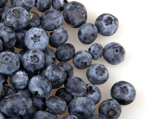 Close-up studio shot of organic blueberries