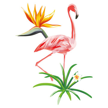 Pink flamingo with tropical plants and flowers