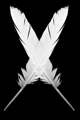 symbol white feather on black background