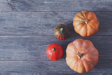 Fall pumpkins background with copy space